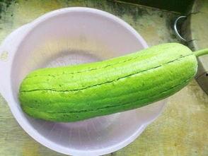 秋瓜是水瓜吗怎么吃,秋季美味水瓜的多样吃法